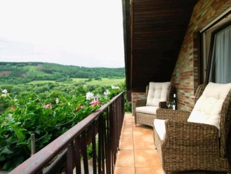 Chateau-De-La-Moselle Kinheim 外观 照片
