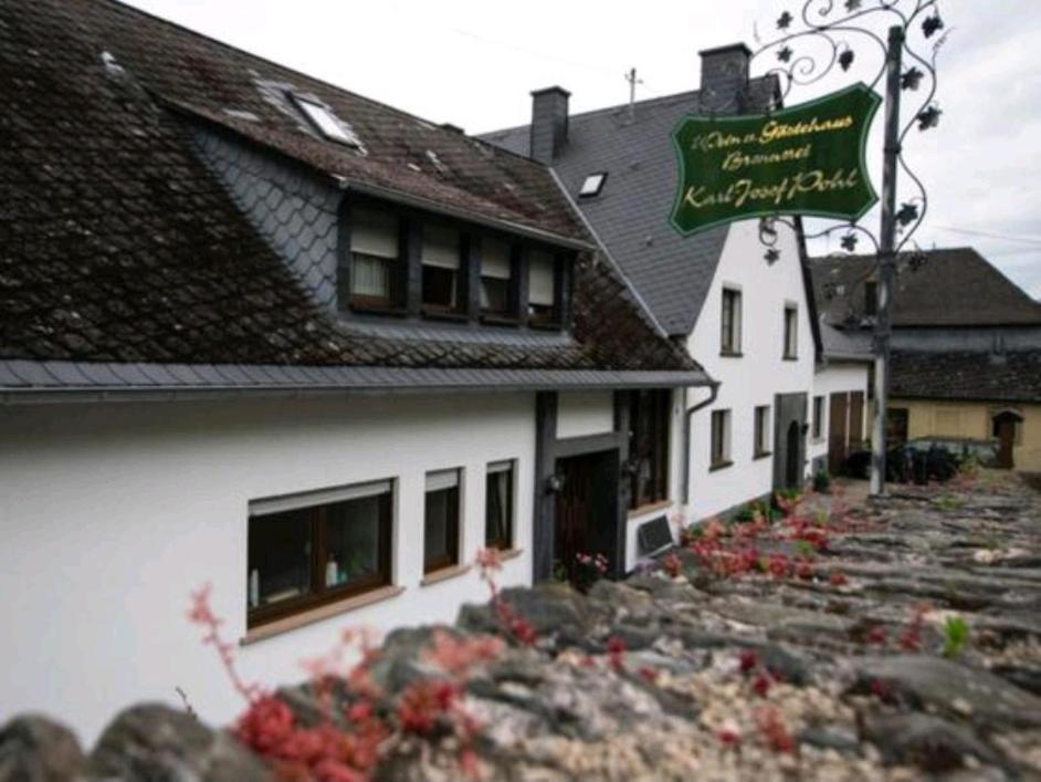 Chateau-De-La-Moselle Kinheim 外观 照片