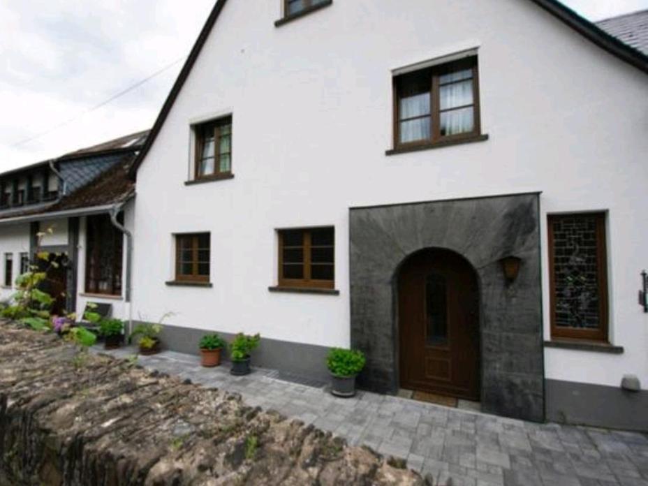 Chateau-De-La-Moselle Kinheim 外观 照片