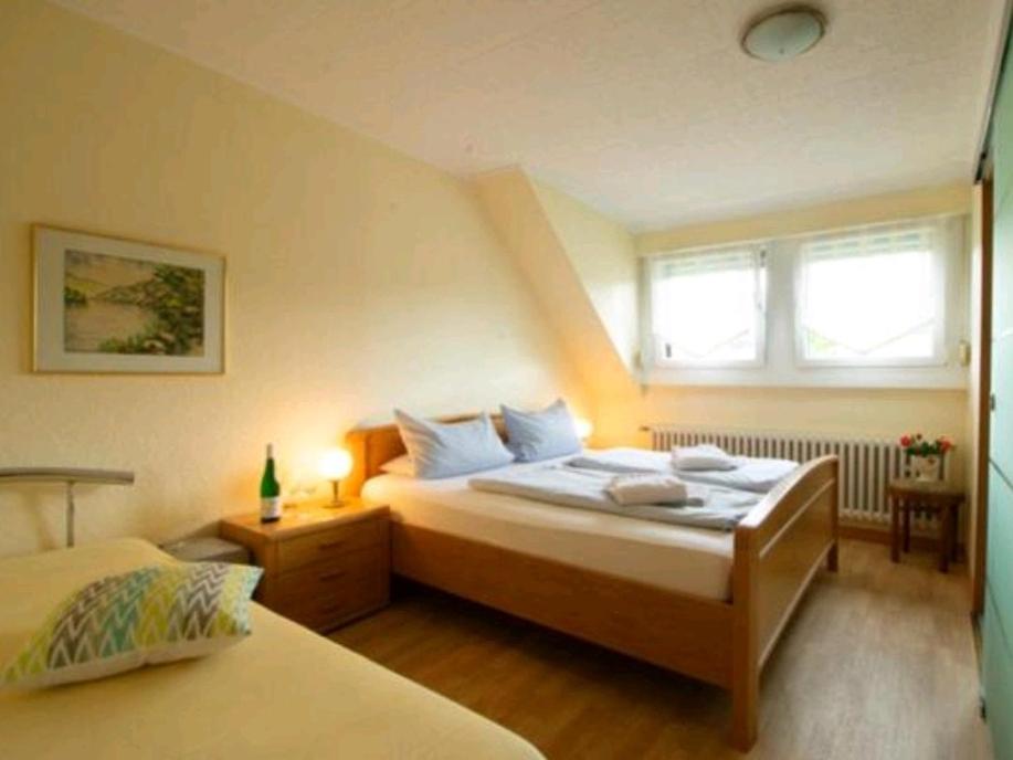 Chateau-De-La-Moselle Kinheim 外观 照片