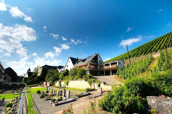 Chateau-De-La-Moselle Kinheim 外观 照片