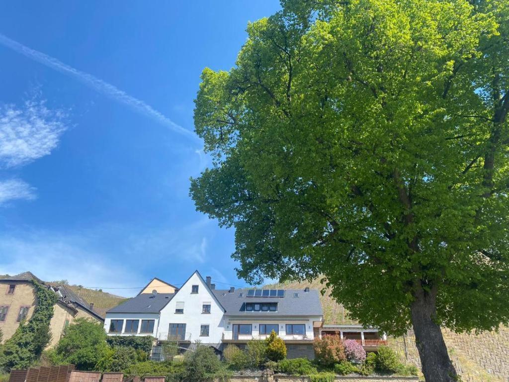 Chateau-De-La-Moselle Kinheim 外观 照片